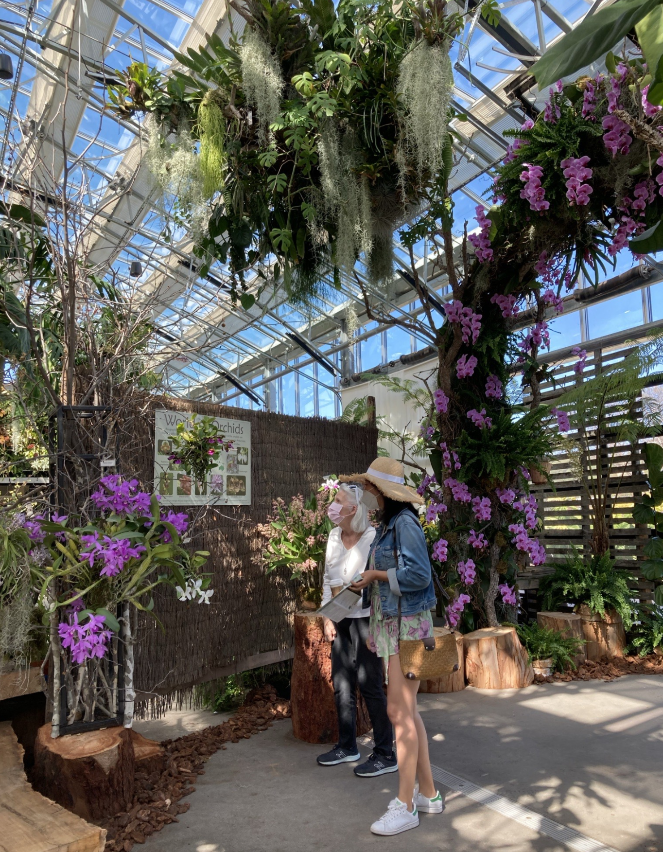 Exploring San Diego: Things to do April 29- May 2 - Vimarsana News
